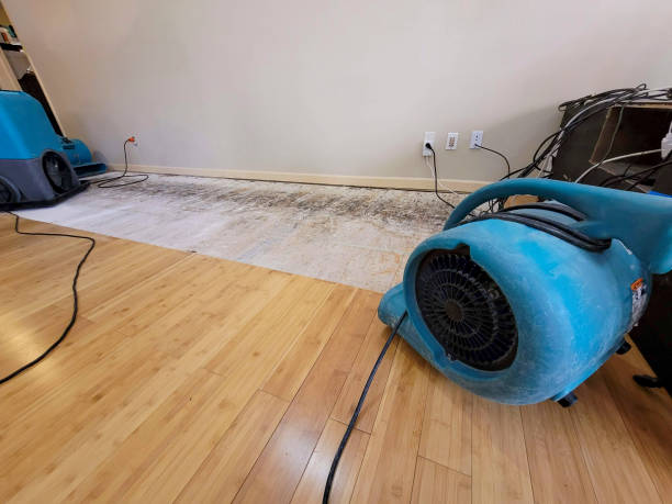 Professional Burst Pipe Water Damage technician working in Miami, WV
